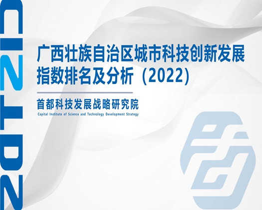 这美女操起来真爽【成果发布】广西壮族自治区城市科技创新发展指数排名及分析（2022）